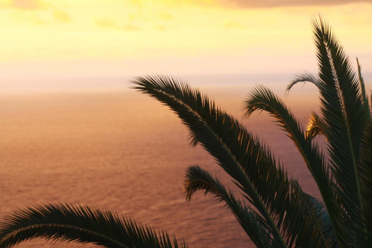 Apartamento Atlantico - Terraza única con vistas al océano - Wifi&Netflix Santa-Cruz de Ténérife Extérieur photo