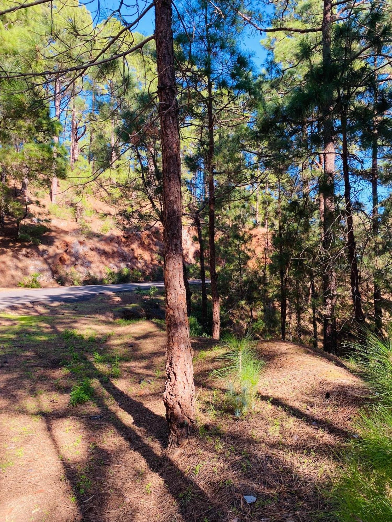 Apartamento Atlantico - Terraza única con vistas al océano - Wifi&Netflix Santa-Cruz de Ténérife Extérieur photo